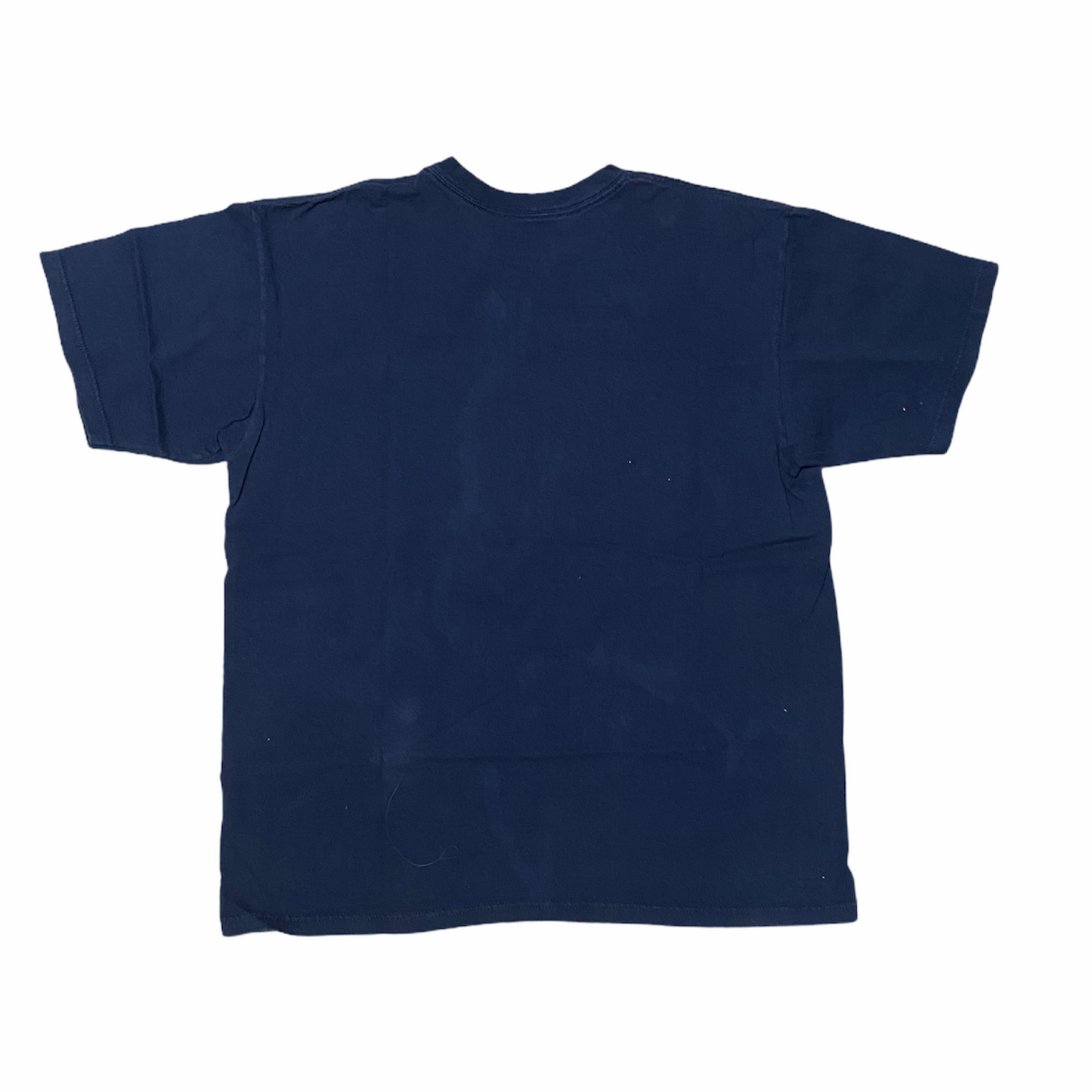 Boston Red Sox 2007 World Series Champions Nike (M)